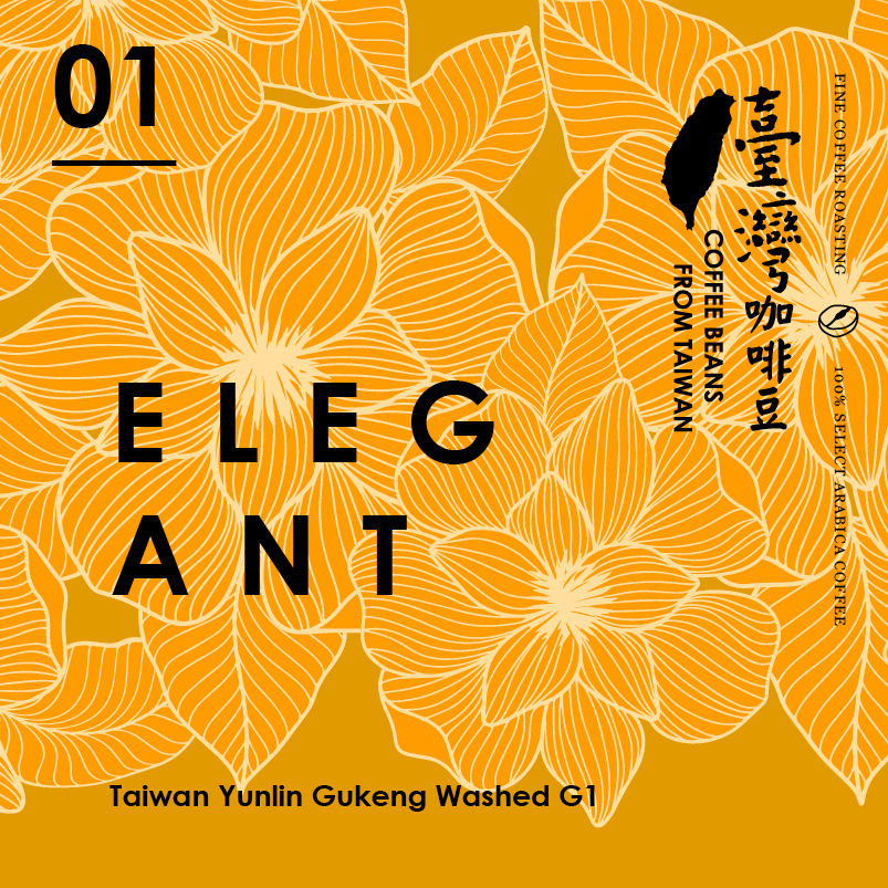 雲林古坑 水洗G1 濾掛6入