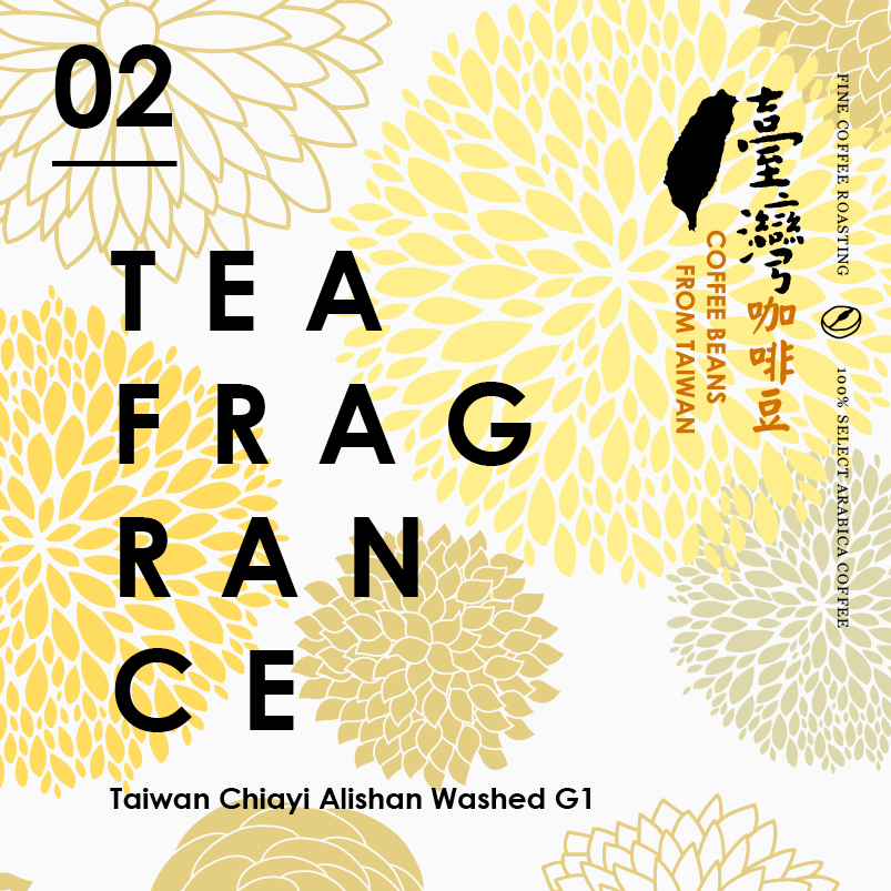 阿里山 水洗G1 濾掛6入