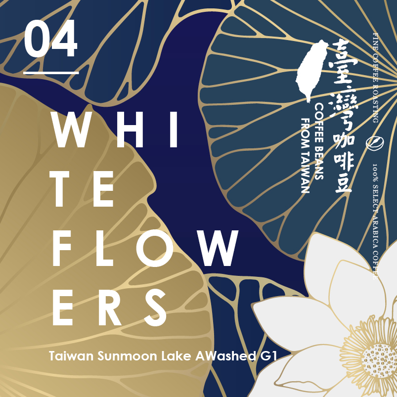 日月潭 水洗G1 濾掛6入