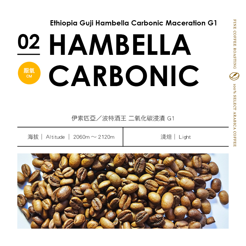 Ethiopia Guji Hambella Carbonic Maceration G1